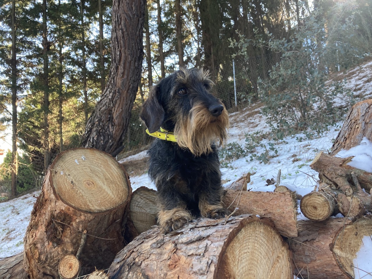 Valentino de Vianzar (13.1.21)